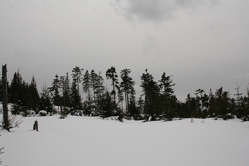 Turbacz 22.03.08 058